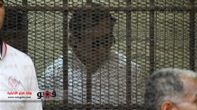 بالفيديو والصور.. بدء جلسة محاكمة عز وعسل في قضية 