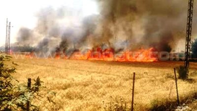 بالصور.. حريق يلتهم محصول القمح بقرية بني أحمد في بني سويف