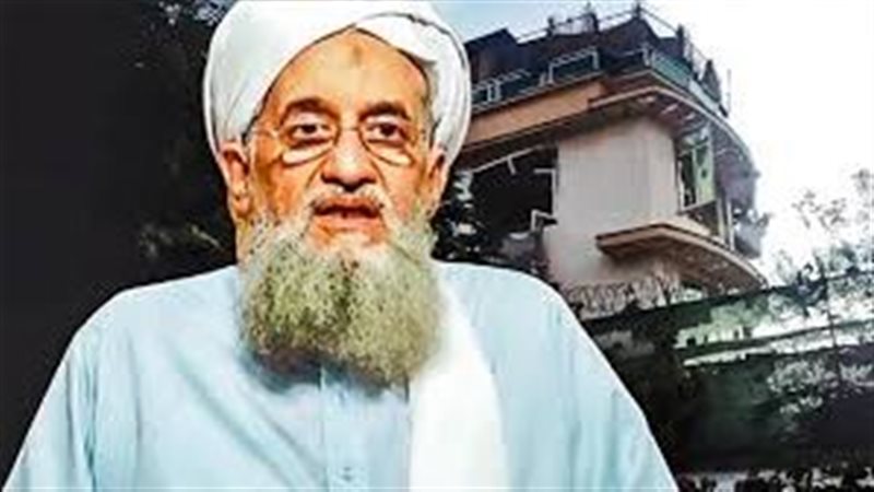 أيمن الظواهري، فيتو