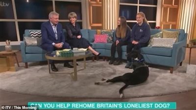 خطأ فني يضع مقدمي برنامج تليفزيوني في موقف محرج (فيديو)