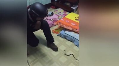 رجل إطفاء يدخل في عراك مع كوبرا صغيرة (فيديو)