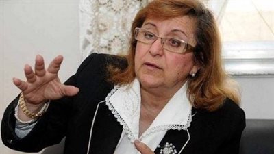 بسنت فهمى: مكافحة الإرهاب ليست مجانية وأهم من توفير كيلو السكر
