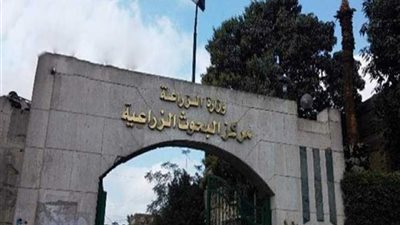 البحوث الزراعية تنجح في إنتاج عسل بلح بديلا للسكر