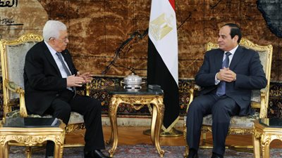 مذيعة «العاصمة» تناشد الدول العربية بالوقوف بجانب فلسطين