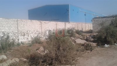 تحقيق استقصائي يكشف: المياه القلوية «أكذوبة» ولا تحمي من السرطان.. سيدة تكتشف خللا في نسبة الأملاح الموجودة في الدم بعد تناولها لمدة 7 أشهر.. والدراسات العلمية تنفي مساهمتها في الحماية من ال