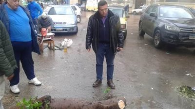 سقوط شرفة عقار وشجرة بسبب موجة الطقس السيئ بالإسكندرية