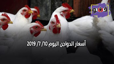 بورصة الدواجن اليوم | أسعار الدواجن اليوم 10/ 7/ 2019