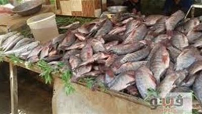 أسعار الأسماك اليوم 17/ 2/ 2019.. والبلطي بـ 21 جنيها