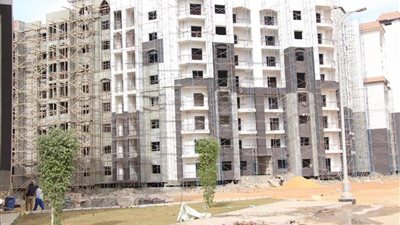 باحث لمستشار الرئيس: الدولة أهملت التشجير حتى في العاصمة الإدارية