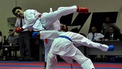 اتحاد «الكاراتيه» يحتفل بانضمام اللعبة لأوليمبياد طوكيو