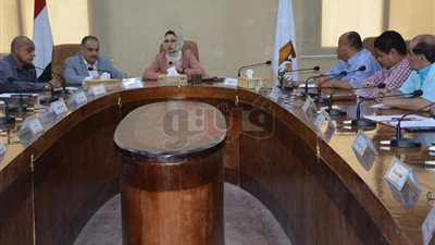 الوادي الجديد تستعد للمشاركة في مسابقة التميز الحكومي المؤسسي