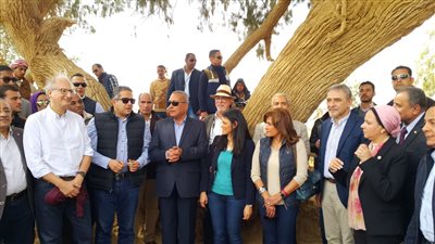 تحصيل رسوم دخول منطقة عيون موسى بعد انتهاء تطوير المرحلة الأولى