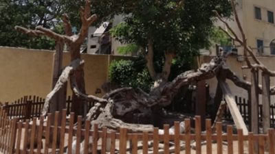 الآثار: انتهاء أعمال تطوير منطقة شجرة مريم (صور)