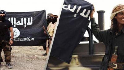 عودة «القاعدة».. 6 دلائل تؤكد صعود بديل لـ«داعش»