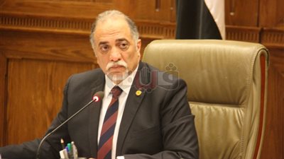 القصبي: التدخل في شئون الدول وراء الهجرة غير الشرعية