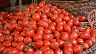 أسعار الخضراوات والفاكهة اليوم.. والطماطم بـ9 جنيهات في أسواق الجيزة