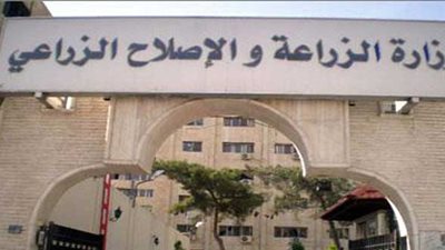 الزراعة: حصاد 50 ألف فدان قمح حتى الآن بالمنوفية