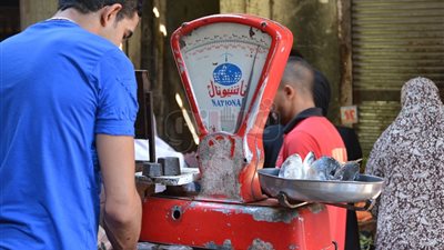 أسعار الأسماك في أسواق الجيزة (صور)