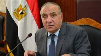 وزير التنمية المحلية: مستعدون لاستقبال الانتخابات الرئاسية