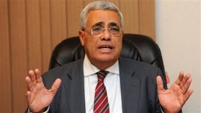 اليوم.. الحكم في قرار التحفظ على أموال حسن نافعة