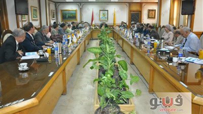 جامعة المنيا تكرم عميد كلية التربية الفنية لبلوغه سن المعاش