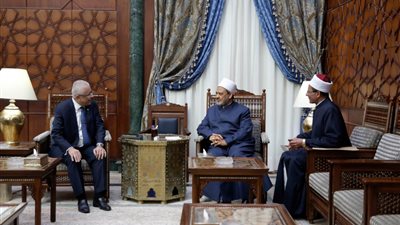 «الطيب»: التعليم الأزهري ضمانة الاستقرار المجتمعي في العالم العربي