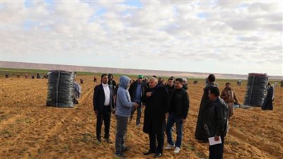 محافظ الوادي الجديد يفتتح موسم جني محصول البطاطس 