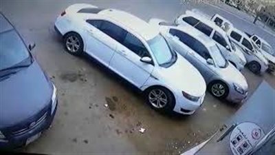 بالفيديو.. لحظة سرقة خروف من صندوق سيارة متوقفة بالسعودية