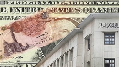 مكاسب «30 يوم تعويم».. الاحتياطي النقدى يرتفع.. حصيلة البنوك تدخل «دائرة الأمان»... وطارق فايد: قرار تحرير سعر الصرف قضى تماما على المضاربات بالعملة