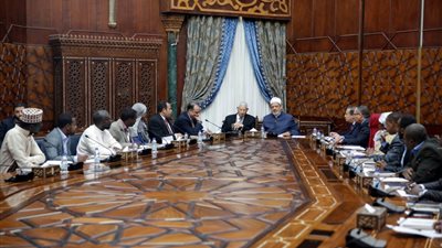 شيخ الأزهر: الإعلام الأفريقي له دور كبير في زيادة التقارب بين الشعوب