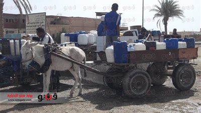 بالصور.. أهالي القصير يستعينون بالحمير والموتوسيكلات لنقل مياه الشرب.. مواسير متهالكة منذ عام 69.. انتشار الفشل الكلوي.. ونسبة الملوحة تتخطى المعدلات المسموحة