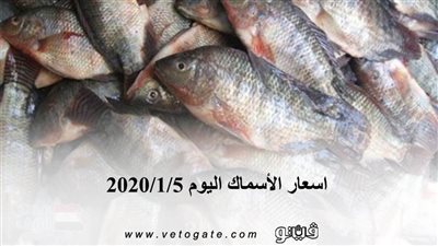 اسعار الأسماك اليوم 2020/1/5