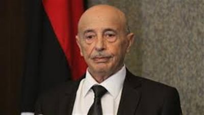 رئيس النواب الليبي يبحث مع «المجلس الأعلى» توحيد مؤسستي النفط بالقاهرة