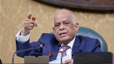 رئيس النواب: أسعى لإقرار قانون التأمينات غدا
