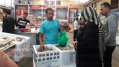 البورسعيدية: «سعر الجمبري يحرق الدم»