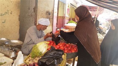 استقرار أسعار الخضراوات.. والطماطم بـ7.5 جنيهات