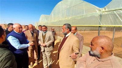 محافظ الوادي الجديد يتفقد مشروعا زراعيا على مساحة 106 أفدنة بالقلمون