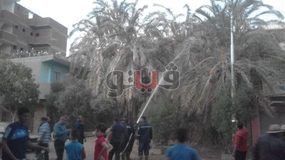 كيف انقلب صديق الفلاح لعدو ؟.. أزمة في الوادي الجديد بسبب أبو قردان (صور)