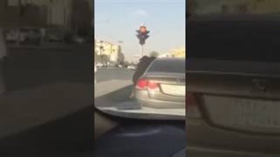 بالفيديو.. مشادة كلامية تتحول لمشاجرة عنيفة بين فتاتين في السعودية