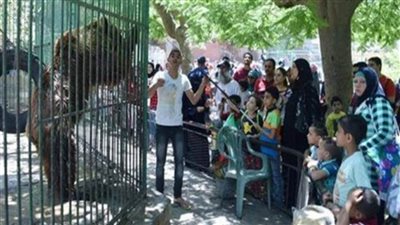 الزراعة: ندرس رفع سعر تذكرة حديقة الحيوان يوم الثلاثاء من كل أسبوع لـ 100 جنيه