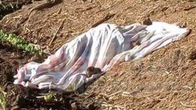 كهربائي يقتل زوجته لشكه في سلوكها بالمنيا