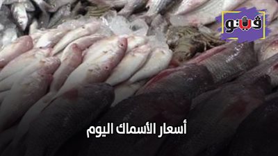 اسعار الأسماك اليوم | تعرف على الأسعار في سوق العبور اليوم 2019/7/11