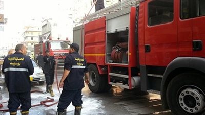 «الحماية المدنية» ترفع آثار سقوط شجرة في العجوزة