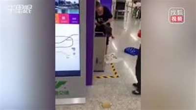 سيدة تذبح دجاجة داخل مترو بعد منع اصطحابها معها حية (فيديو)