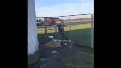 طفل يتصدى لدجاجة هاجمته بالضرب (فيديو)