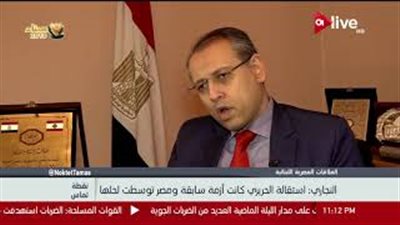 سفير مصر بلبنان يكشف دور القاهرة في حل أزمة استقالة الحريري (فيديو)
