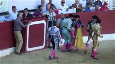 بالفيديو والصور.. ثور هائج يقتل مصارعا شهيرا بضربة قاضية