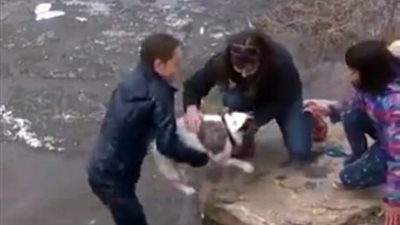 بالفيديو والصور.. رجل يعرض نفسه للخطر لإنقاذ كلبه من الغرق