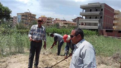 استجابة لما نشرته «فيتو».. حملة لإزالة الحشائش في جمصة