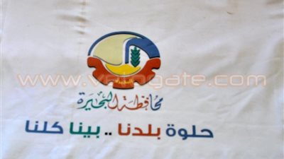 ألف مدرسة بالبحيرة تشارك في مبادرة «حلوة يا بلدي»